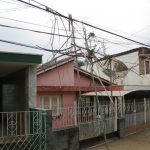 04janeiro (10)