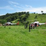 04janeiro (114)