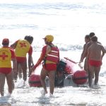 bote bote