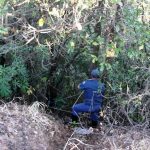 G_NOTICIA_1284156149-JG7