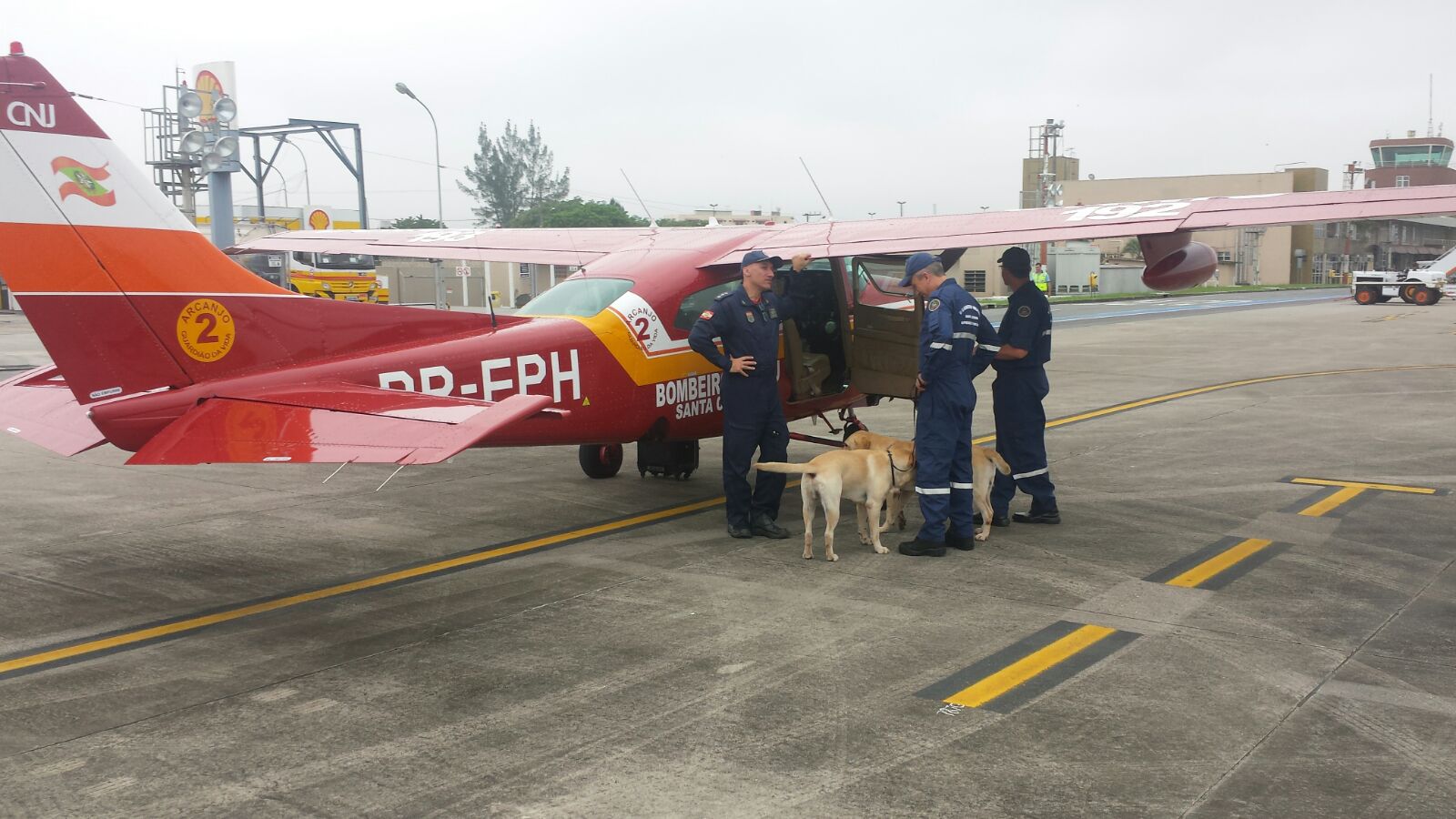 BOA/SC: Cães de resgate de SC são enviados para buscas em Mariana (MG)
