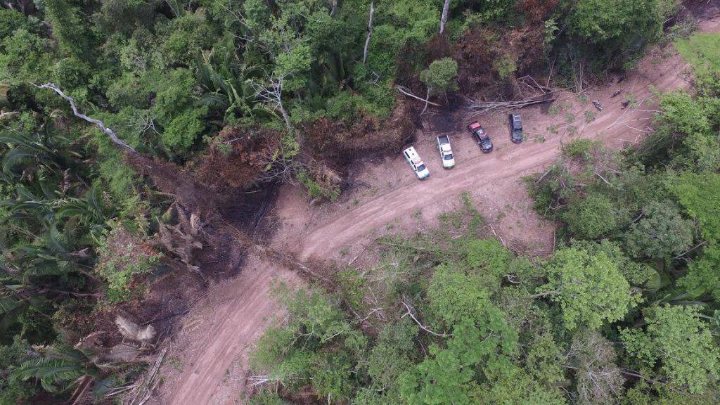 NOA participa de operação que coíbe crimes ambientais na Reserva Margarida Alves, em Nova União