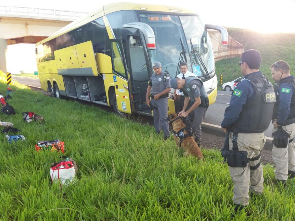 Águia de Rio Preto apoia operação integrada na divisa de São Paulo com Minas