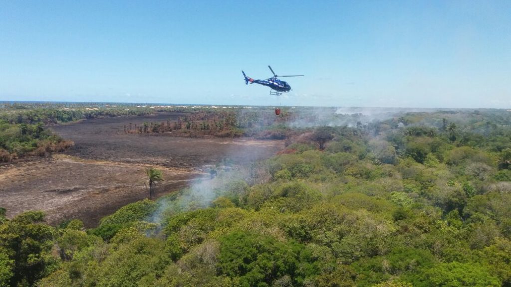 Graer e Corpo de Bombeiros combatem incêndio em Mata de São João