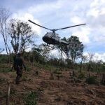 Centro Tático Aéreo participa da maior operação de erradicação do plantio de maconha no Maranhão
