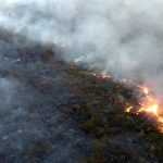 Águia 05 apoia Corpo de Bombeiros no combate a incêndio florestal na região de Campinas