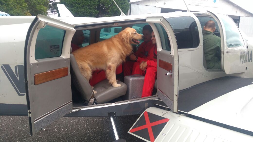 Equipe e cães do Corpo de Bombeiros são transportados por aeronave do BPMOA para ação em Ivaiporã