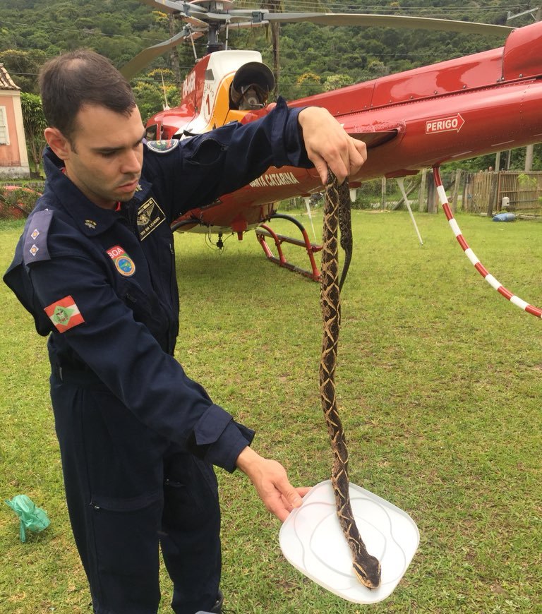 Equipe Aeromédica do helicóptero Arcanjo 01 resgata jovem picado por cobra em Florianópolis