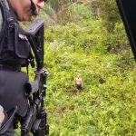 Sargento da PM do DF é encontrado em mata de Taguatinga após tentativa de assalto (Foto: Polícia Militar/Divulgação)